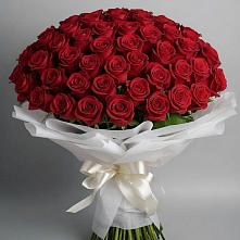 Букет 101 Красная роза Блэк Мэджик в Красково