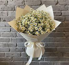 Букет цветов из:  Ромашки в Красково