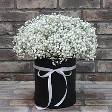 Цветочная композиция из Гипсофила в шляпной коробке в Красково