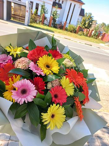 Букет цветов из: Герберы в Красково