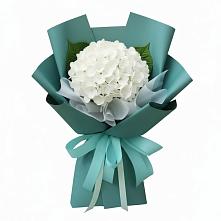 Букет цветов из:  Гортензия #REPLACE_PRED# Красково